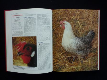 Le grand livre des volailles de France races anciennes rares disparues ou actuelles Priquet Rustica aviculture animaux