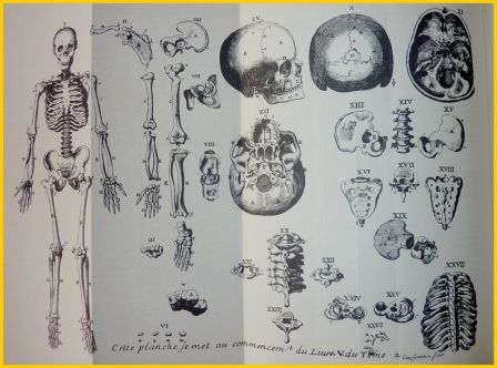 Cours de mdecine Guyon Dolois illustrations