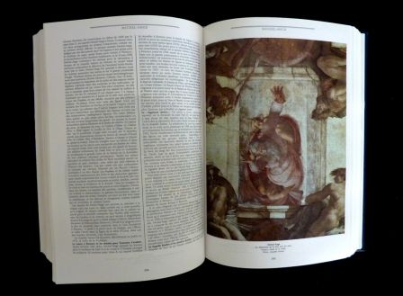 Le dictionnaire de la peinture la peinture occidentale du moyen-âge à nos jours éditions Larousse Pierre Laclotte Jean-Pierre Cuzin Le dictionnaire de la peinture la peinture occidentale du moyen-âge à nos jours éditions Larousse Pierre Laclotte Jean-Pierre Cuzin
