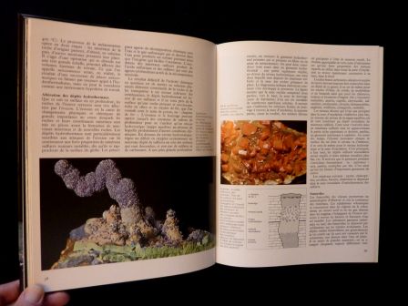 Minéraux et pierres précieuses PML éditions 1994 gemmes gemmologie géologie minéralogie
