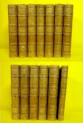 1841-1849 Dictionnaire universel d’histoire naturelle Charles d’Orbigny sciences zoologie botanique astronomie nature géologie 