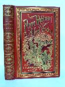 1892 Lucien Biart Pierre Robinson et Alfred Vendredi Flammarion reliure Engel cartonnage Souze enfantina littérature jeunesse roman illustrations Gerlier