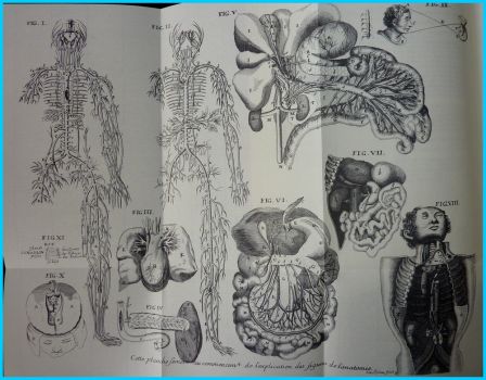 Cours de mdecine Guyon Dolois illustrations