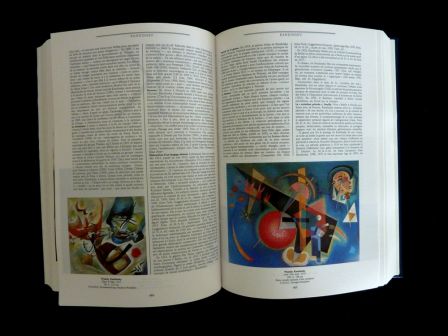 Le dictionnaire de la peinture la peinture occidentale du moyen-âge à nos jours éditions Larousse Pierre Laclotte Jean-Pierre Cuzin