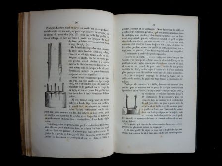 Le jardinier fruitier Eugène Forney 1862 arboriculture pomologie pommier poirier taille des arbres fruitiers sciences et techniques vergers nature Le jardinier fruitier Eugène Forney 1862 arboriculture pomologie pommier poirier taille des arbres fruitiers sciences et techniques vergers nature