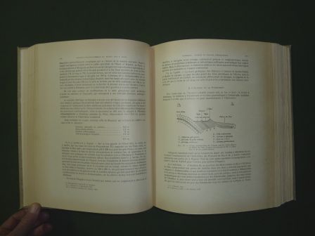 Histoire stratigraphique du Maroc Édouard Roche édition 1950 les frères Douladoure Toulouse 22 planches sciences géologie Histoire stratigraphique du Maroc Édouard Roche édition 1950 les frères Douladoure Toulouse 22 planches sciences géologie