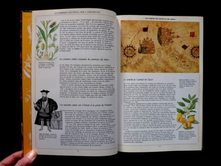 Les épices leur emploi dans la cuisine d’aujourd’hui Jill Norman éditions Hatier gastronomie recettes aliments alimentation Les épices leur emploi dans la cuisine d’aujourd’hui Jill Norman éditions Hatier gastronomie recettes aliments alimentation