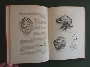 Étude des ornements Jules Passepont bibliothèque des arts décoratifs Librairie Rouam 1896 dauphin