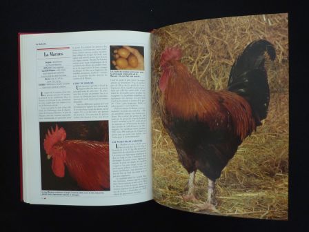 Le grand livre des volailles de France races anciennes rares disparues ou actuelles Priquet Rustica aviculture animaux